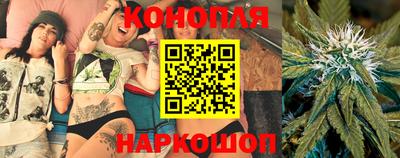 прущие грибы Партизанск