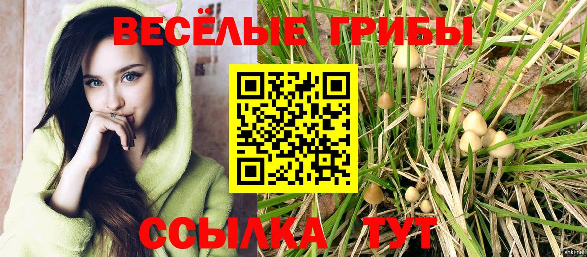 Сокол  Псилоцибиновые грибы прущие грибы  Псилоцибиновые грибы ЛСД  Вход с VPN 