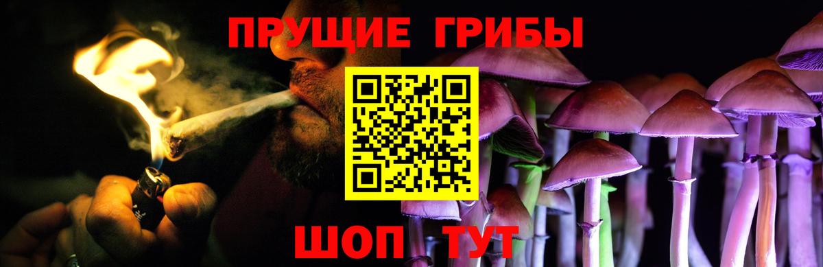 Псилоцибиновые грибы ЛСД Сокол